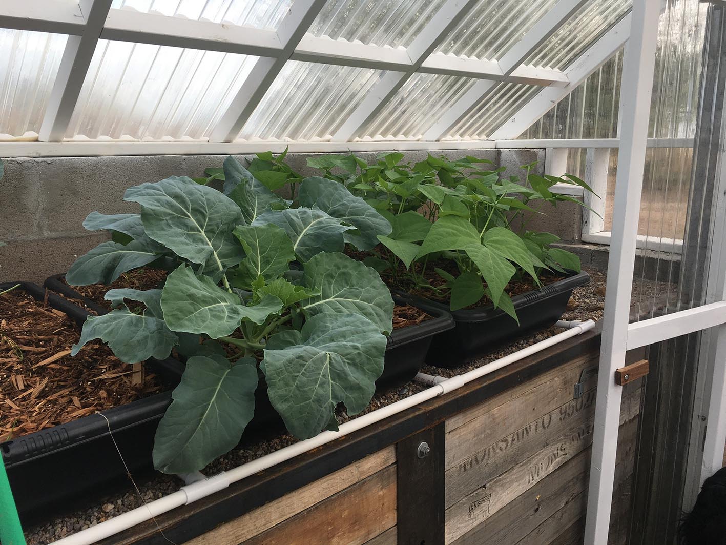 Прозорі полікарбонатні панелі Ондуклер